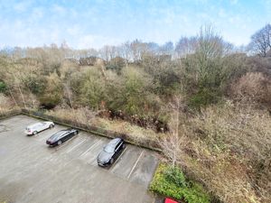 View from lounge- click for photo gallery